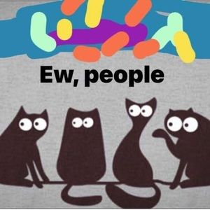 Meet your Posher, Ana